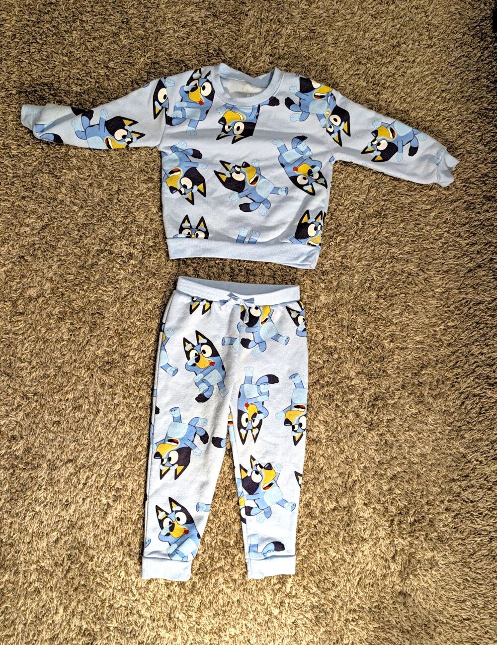 Bluey Bluey Cartoon Graphic Print Fleece 2pc Set 3T Long Sleeve